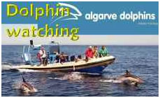 Algarve Dolphins