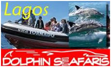 Dolphin Seafaris